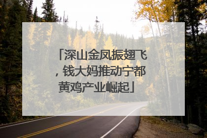 深山金凤振翅飞，钱大妈推动宁都黄鸡产业崛起