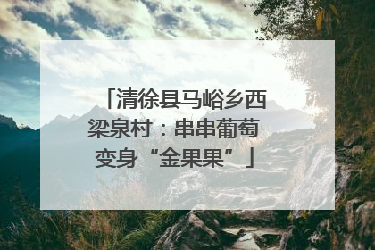 清徐县马峪乡西梁泉村：串串葡萄变身“金果果”