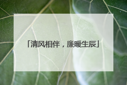 清风相伴，廉暖生辰