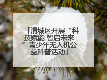 渭城区开展“科技赋能 智启未来”青少年无人机公益科普活动