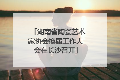 湖南省陶瓷艺术家协会换届工作大会在长沙召开