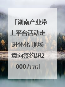 湖南产业带上平台活动走进怀化 现场意向签约超2000万元
