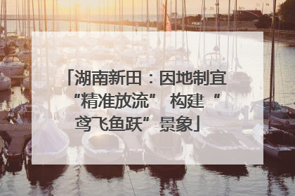 湖南新田：因地制宜“精准放流” 构建“鸢飞鱼跃”景象