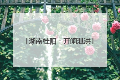 湖南桂阳：开闸泄洪