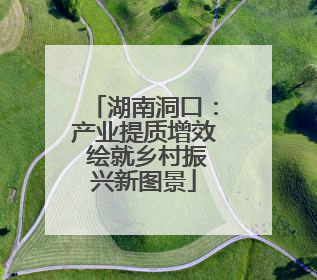 湖南洞口：产业提质增效 绘就乡村振兴新图景