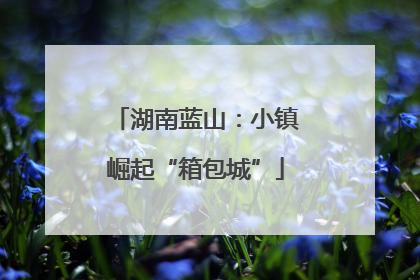 湖南蓝山：小镇崛起“箱包城”