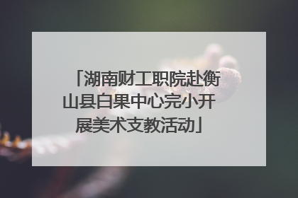 湖南财工职院赴衡山县白果中心完小开展美术支教活动