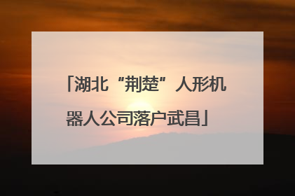 湖北“荆楚”人形机器人公司落户武昌
