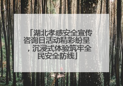 湖北孝感安全宣传咨询日活动精彩纷呈，沉浸式体验筑牢全民安全防线