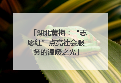 湖北黄梅：“志愿红”点亮社会服务的温暖之光