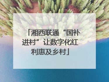 湘西联通“国补进村”让数字化红利惠及乡村