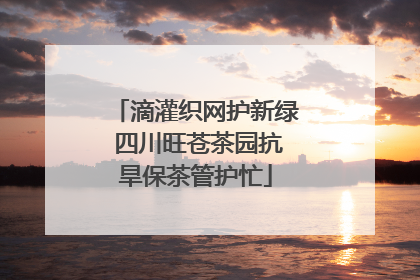 滴灌织网护新绿 四川旺苍茶园抗旱保茶管护忙