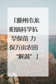 滕州市龙阳镇科学抗旱保苗 力保万亩农田“解渴”
