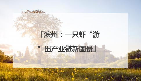 滨州：一只虾“游”出产业链新图景