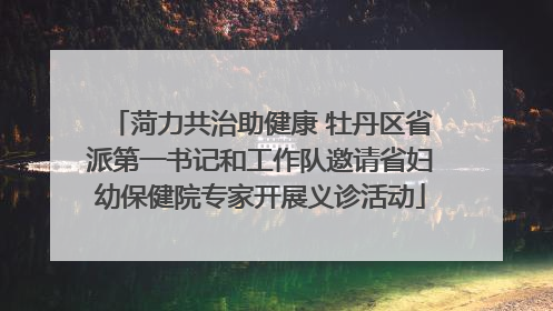 菏力共治助健康 牡丹区省派第一书记和工作队邀请省妇幼保健院专家开展义诊活动