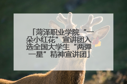 菏泽职业学院“一朵小红花”宣讲团入选全国大学生“两弹一星”精神宣讲团