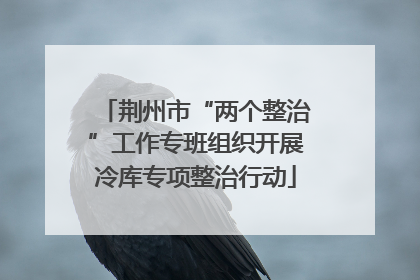 荆州市“两个整治”工作专班组织开展冷库专项整治行动