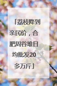 荔枝降到亲民价，合肥周谷堆日均批发20多万斤