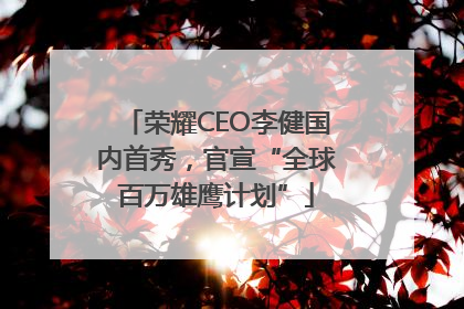 荣耀CEO李健国内首秀，官宣“全球百万雄鹰计划”