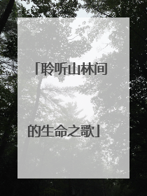 聆听山林间的生命之歌