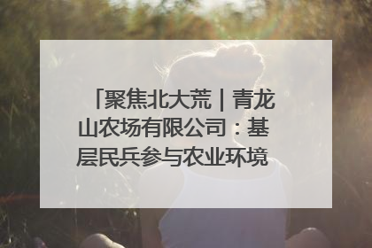 聚焦北大荒｜青龙山农场有限公司：基层民兵参与农业环境综合治理显效