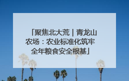 聚焦北大荒｜青龙山农场：农业标准化筑牢全年粮食安全根基