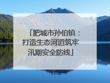 肥城市孙伯镇：打造生态河道筑牢汛期安全防线