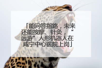 能问答指路，未来还能按摩、针灸，“远游”人形机器人在咸宁中心医院上岗