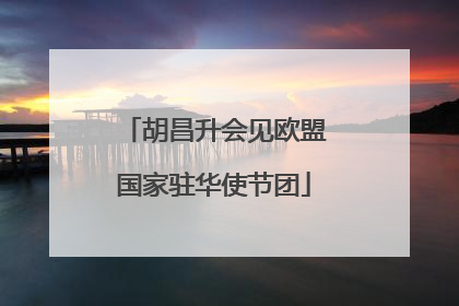 胡昌升会见欧盟国家驻华使节团