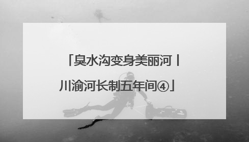 臭水沟变身美丽河丨川渝河长制五年间④