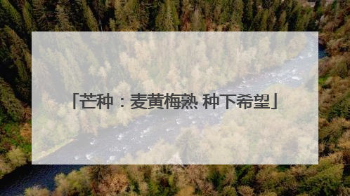 芒种：麦黄梅熟 种下希望