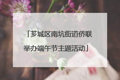 芗城区南坑街道侨联举办端午节主题活动
