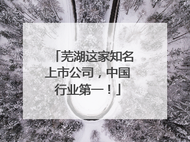 芜湖这家知名上市公司，中国行业第一！