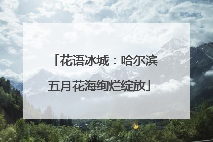 花语冰城：哈尔滨五月花海绚烂绽放