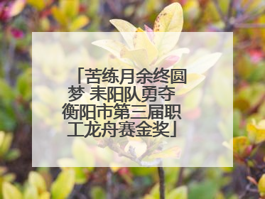 苦练月余终圆梦 耒阳队勇夺衡阳市第三届职工龙舟赛金奖