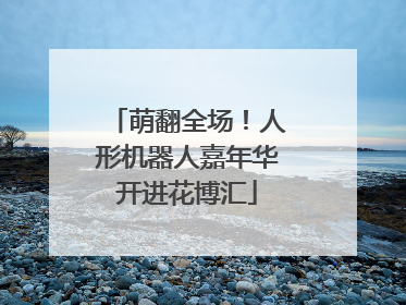 萌翻全场！人形机器人嘉年华开进花博汇