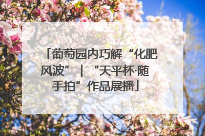 葡萄园内巧解“化肥风波”｜“天平杯·随手拍”作品展播