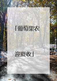 葡萄果农迎夏收