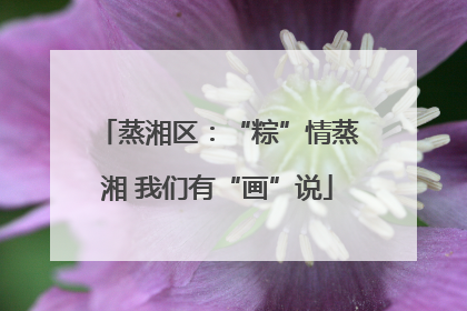 蒸湘区：“粽”情蒸湘 我们有“画”说