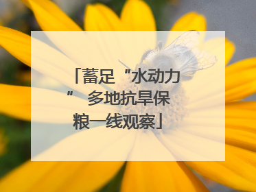 蓄足“水动力” 多地抗旱保粮一线观察