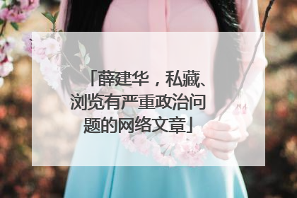 薛建华，私藏、浏览有严重政治问题的网络文章