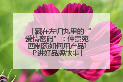 藏在左归丸里的“爱情密码”：仲景宛西制药如何用产品IP讲好品牌故事