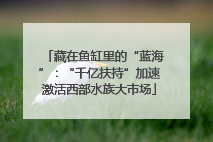 藏在鱼缸里的“蓝海”：“千亿扶持”加速激活西部水族大市场