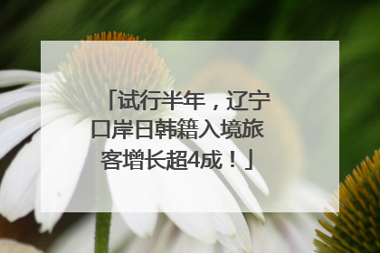 试行半年，辽宁口岸日韩籍入境旅客增长超4成！