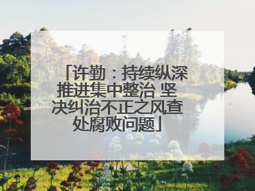 许勤：持续纵深推进集中整治 坚决纠治不正之风查处腐败问题