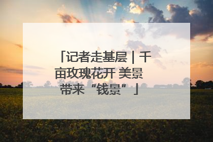 记者走基层｜千亩玫瑰花开 美景带来“钱景”