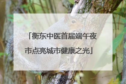 衡东中医首届端午夜市点亮城市健康之光