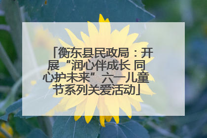 衡东县民政局：开展“润心伴成长 同心护未来”六一儿童节系列关爱活动
