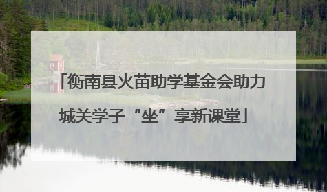 衡南县火苗助学基金会助力城关学子“坐”享新课堂