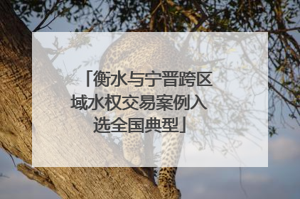 衡水与宁晋跨区域水权交易案例入选全国典型